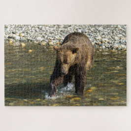 Puzzle Salvaje Grizzly Tratando De Captar Salmón En El To