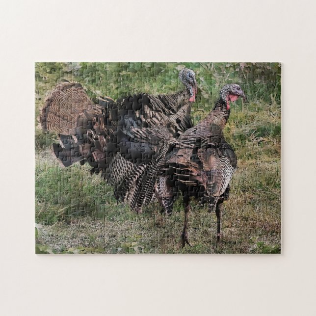 Puzzle Salvaje Turquía antes de la lucha (Horizontal)