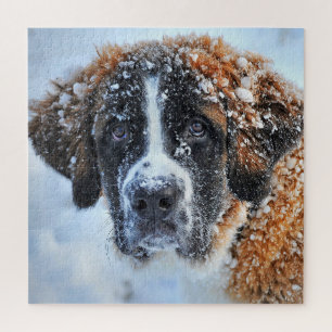 Puzzle San Bernardo en la nieve