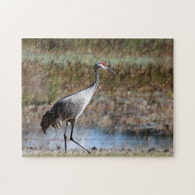 Puzzle Sandhill Crane (Horizontal)