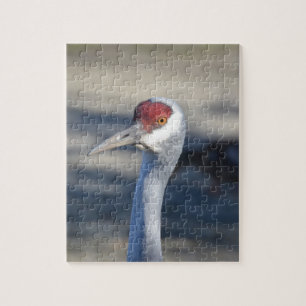 Puzzle Sandhill Crane