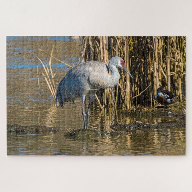 Puzzle Sandhill Crane (Horizontal)
