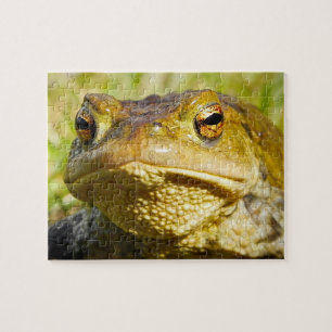 Puzzle Sapo