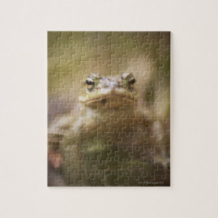 Puzzle Sapo del día