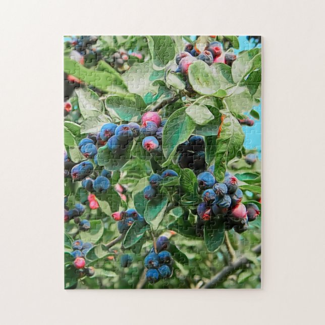 Puzzle Saskatoon (Vertical)