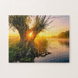Puzzle Sauce pollard junto al río brumoso al amanecer
