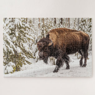 Puzzle Scary Bison (Bison bison) - Búfalo - 1014 pieza