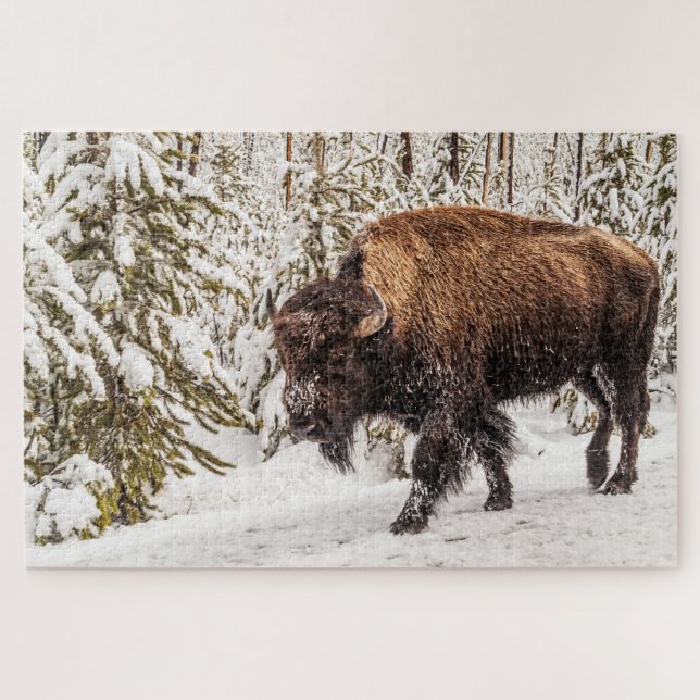 Puzzle Scary Bison (Bison bison) - Búfalo - 1014 pieza (Horizontal)