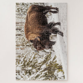 Puzzle Scary Bison (Bison bison) - Búfalo - 1014 pieza