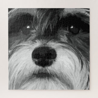 Puzzle Schnauzer miniatura