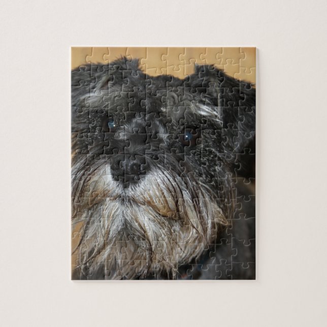 Puzzle Schnauzer miniatura (Vertical)