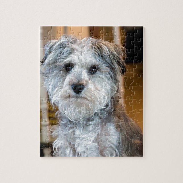 Puzzle Schnauzer miniatura gris (Vertical)