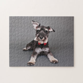Puzzle Schnauzer - Tom Dooley