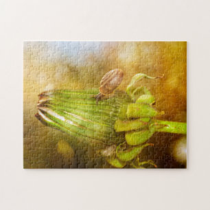 Puzzle Schnecke auf Wanderung...