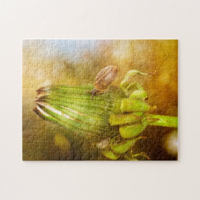 Puzzle Schnecke auf Wanderung... (Horizontal)