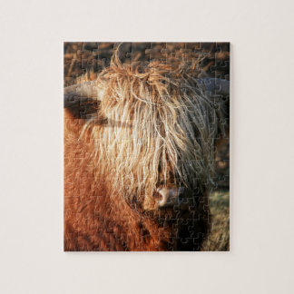 Puzzle Scottish país de drogado Cow - Scotland