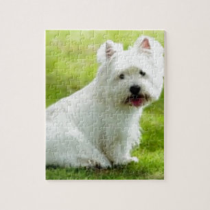 Puzzle scottish terrier