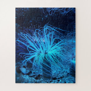 Puzzle Sea Anemone and Coral Reef