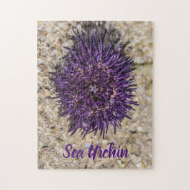 Puzzle Sea Urchin Ocean Beach Holiday Summer Souvenir