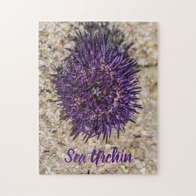 Puzzle Sea Urchin Ocean Beach Holiday Summer Souvenir (Vertical)