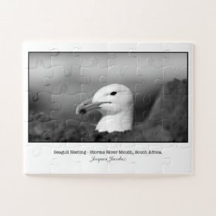 Puzzle Seagul nesting