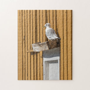 Puzzle Seagull Noruega
