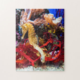 Puzzle Seahorse Fantasy