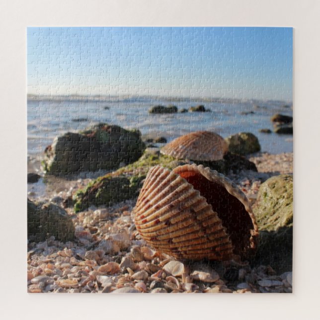 Puzzle Seashell at the beach (Vertical)