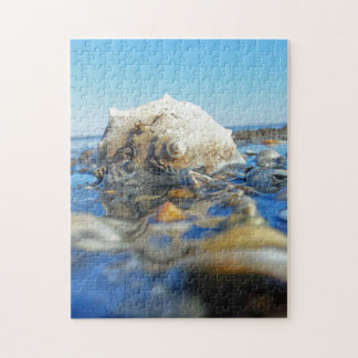 Puzzle Seashell en agua