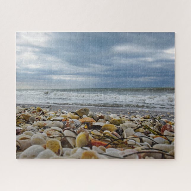 Puzzle Seashells en la costa - 16x20 - 520 PC (Horizontal)