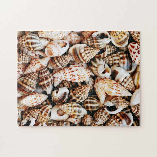 Puzzle Seashells minúsculos (Horizontal)