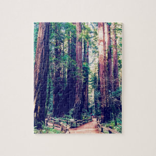 Puzzle Secoyas de California