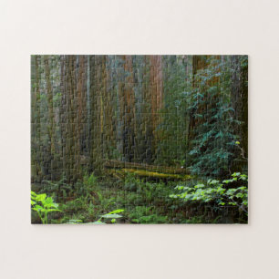 Puzzle Secuoyas en el Parque Nacional Muir Woods