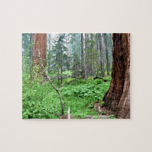Puzzle Secuoyas gigantes en Grant Grove, CA (Horizontal)