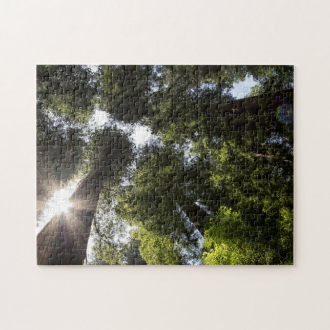 Puzzle Secuoyas, Parque Estatal de las Secuoyas de Humbol (Horizontal)