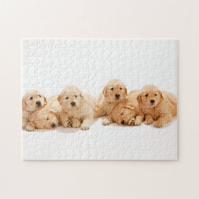 Puzzle Seis Cachorros de Golden Retriever (Horizontal)