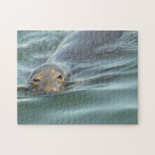 Puzzle Sello de corte de Cape Cod