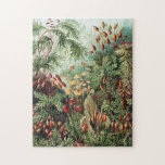 Puzzle Selva de selva selva<br><div class="desc">Selva de selva selva</div>