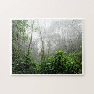 Puzzle Selva Lluviosa Tranquila