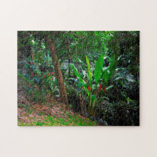 Puzzle Selva Tropical Granada Caribe.