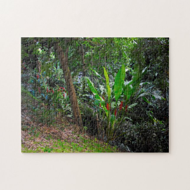 Puzzle Selva Tropical Granada Caribe. (Horizontal)