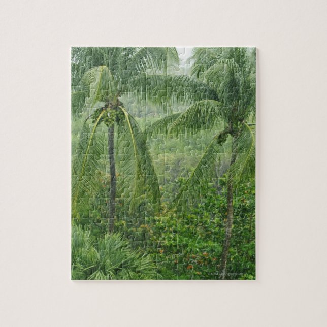 Puzzle Selva tropical tropical (Vertical)