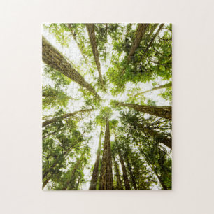 Puzzle Selva tropical verde enorme