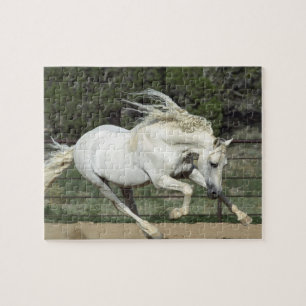 Puzzle Semental Andaluz corriendo, PR