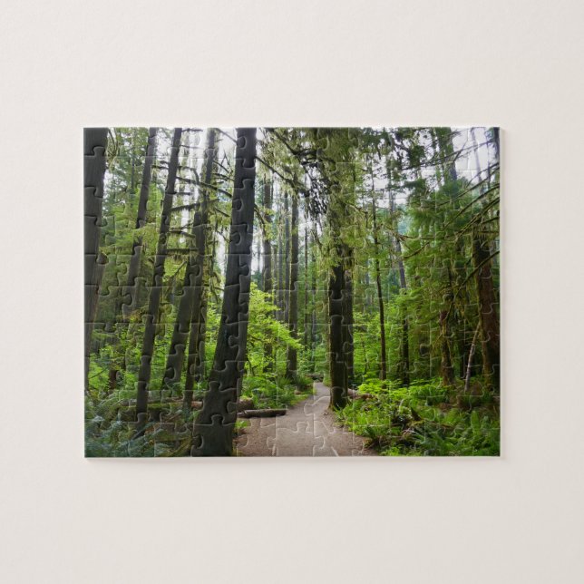 Puzzle Sendero a Marymere Falls II (Horizontal)
