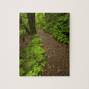 Puzzle Sendero a través del bosque