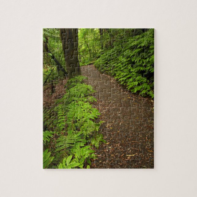 Puzzle Sendero a través del bosque (Vertical)