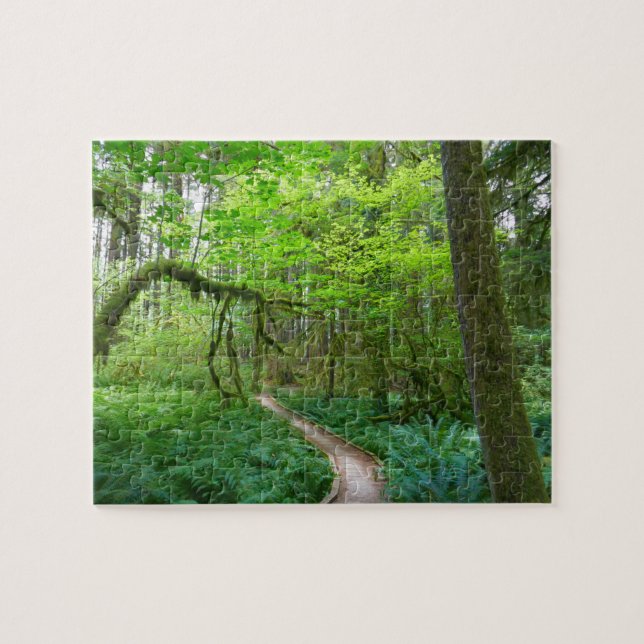 Puzzle Sendero Ancient Groves en el Parque Nacional Olymp (Horizontal)