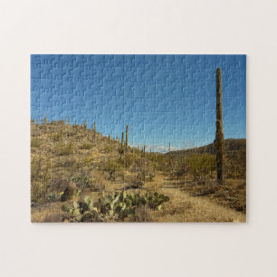 Puzzle Sendero Carillo de Saguaro en Parque Nacional Sagu