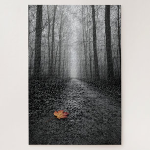 Puzzle Sendero de Bosque Brumoso Color Selectivo